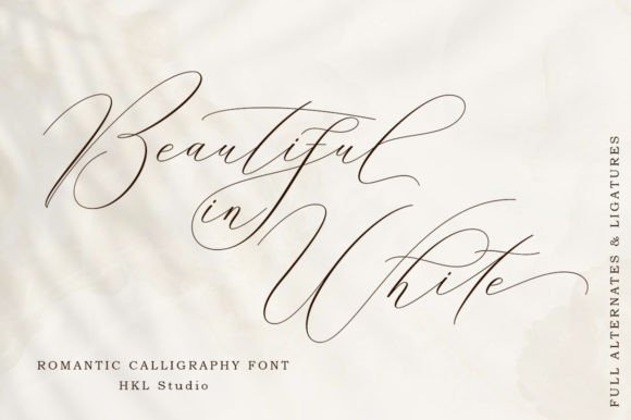 Beautiful in White: The Modern Script for Elegant Branding